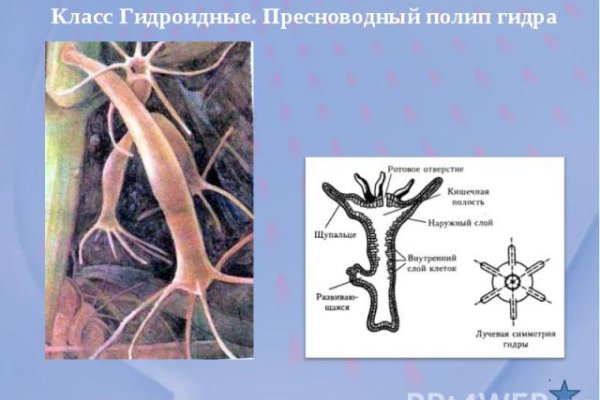 Ссылки на кракен маркетплейс